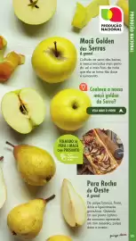 Folheto Pingo Doce | Fruta e Legumes Página 25