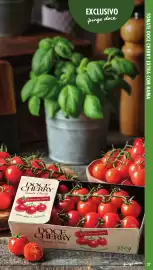 Folheto Pingo Doce | Fruta e Legumes Página 37