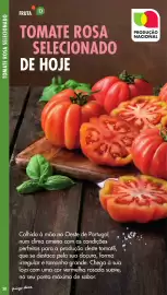 Folheto Pingo Doce | Fruta e Legumes Página 38