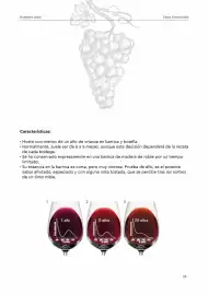 Folleto GM Cash & Carry Página 31