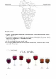 Folleto GM Cash & Carry Página 34