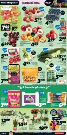 IGA flyer week 27 Page 3