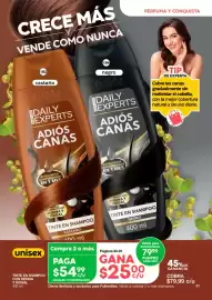 Catálogo Fuller Página 31