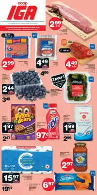IGA flyer