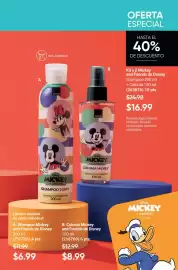 Catálogo AVON Página 17