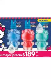 Catálogo Fuller Página 105