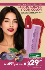 Catálogo Fuller Página 129