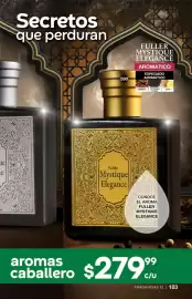 Catálogo Fuller Página 169