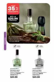 Catálogo AVON Página 101