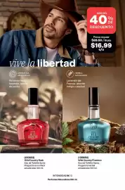 Catálogo AVON Página 102