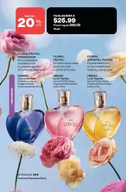 Catálogo AVON Página 75