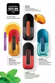 Catálogo AVON Página 93