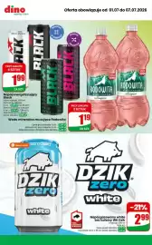 Dino gazetka tydzień 27 Strona 9