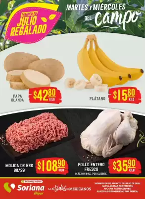 Folleto Soriana Híper (válido hasta 1-07)