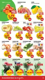Catalog Penny săptămâna 27 Pagină 6