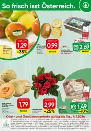 Spar Flugblatt Seite 24