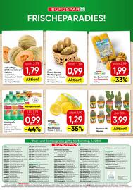 Eurospar Flugblatt Seite 16