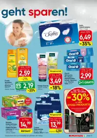 Eurospar Flugblatt Seite 13