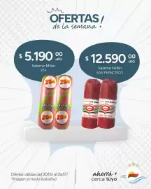 Catálogo El Milagro Mayorista semana 27 Página 8