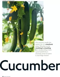 Waitrose catalogue Page 42