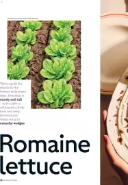 Waitrose catalogue Page 50