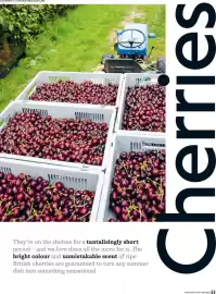Waitrose catalogue Page 55