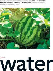 Waitrose catalogue Page 58