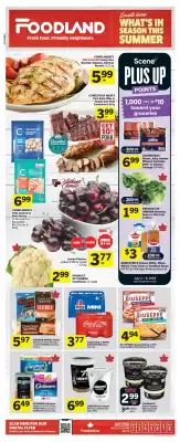 Foodland flyer