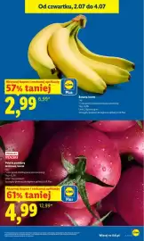 Lidl gazetka Strona 13