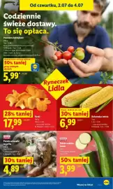 Lidl gazetka Strona 39