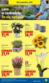 Lidl gazetka Strona 81