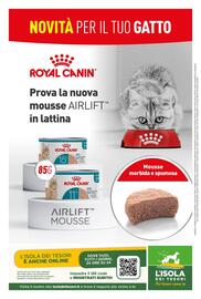 Volantino L´Isola dei Tesori Pagina 16