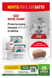 Volantino L´Isola dei Tesori Pagina 16