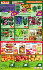 Catalogue Norma semaine 28 page 4