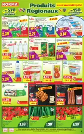 Catalogue Norma semaine 28 page 5