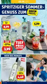 Hofer Flugblatt woche 27 Seite 14