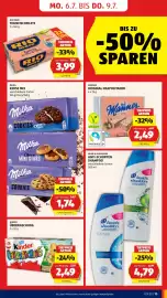 Hofer Flugblatt woche 27 Seite 19