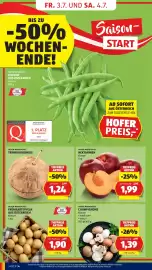 Hofer Flugblatt woche 27 Seite 8