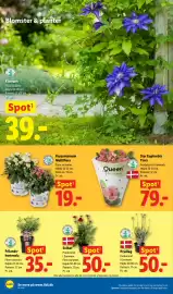 Lidl tilbudsavis uge 28 Side 36