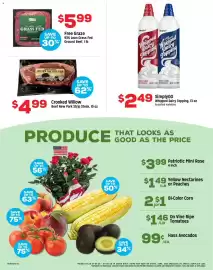 Grocery Outlet weekly ad week 27 Page 4