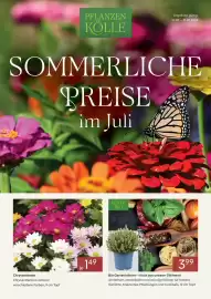 Pflanzen Kölle Prospekt Seite 1