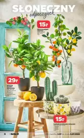 Netto gazetka tydzień 27 Strona 6