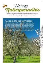 Famila Nord Ost Magazin Seite 48