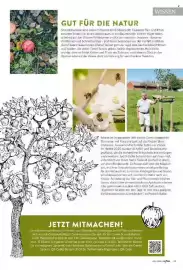 Famila Nord Ost Magazin Seite 49