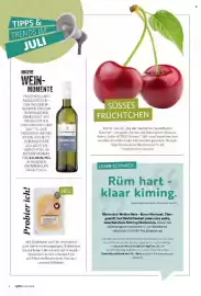 Famila Nord Ost Magazin Seite 6