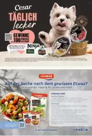 Famila Nord Ost Magazin Seite 61