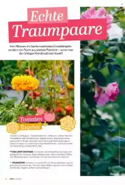 Famila Nord Ost Magazin Seite 62