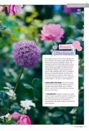 Famila Nord Ost Magazin Seite 63
