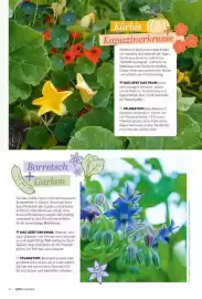 Famila Nord Ost Magazin Seite 64