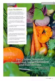 Famila Nord Ost Magazin Seite 65